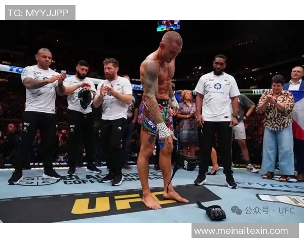 UFC终极格斗冠军赛探索格斗技术的极限与魅力